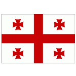 Georgia Indoor Soccer logo