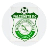 Falconets FC (W) logo
