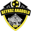 Beykoz Anadoluspor U19 logo