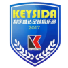 Shenzhen Keysida logo