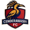Cendrawasih FC logo