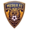 Mesuji FC logo