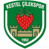 Kestel Cilekspor U19 logo