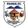 Pamek logo