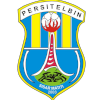 Persitelbin logo