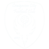 Craigavon City (W) logo