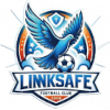 Jinan Linksafe logo