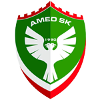 Amedspor U19 logo