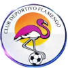 Flamengo Cucuta U19 logo