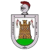 UD Valle de Aranguren U19 logo