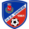 USD Usinese logo
