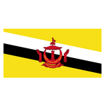 Brunei Darussalam U23 logo