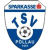 TSV Sparkasse Pollau logo