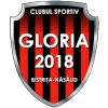 FC Gloria Bistrita logo